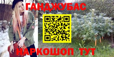 стаф Новозыбков