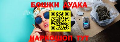 стаф Новозыбков