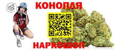 стаф Новозыбков