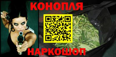 стаф Новозыбков
