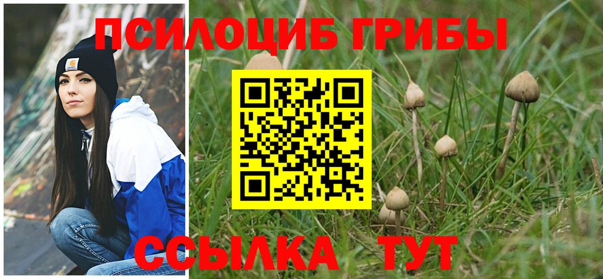 Галлюциногенные грибы MAGIC MUSHROOMS Тайшет